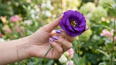 Den här färgen finns egentligen inte – det är din hjärna som har hittat på den