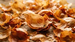 Lökskal istället för färdigköpta produkter: så här använder du dem i trädgården