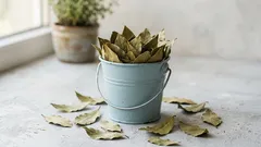 Bara några få blad av denna krydda – så kan luften i ditt hem kännas friskare och renare